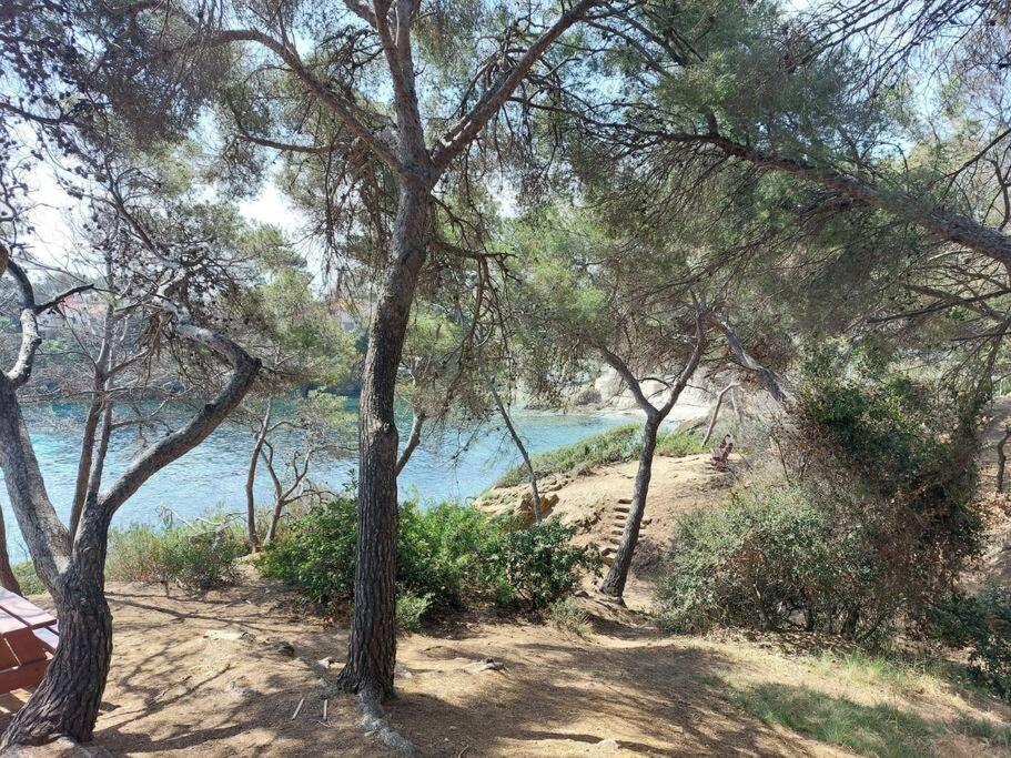 Charmant Mazet - Plage A Pied Saint-Peïre-sur-Mer Εξωτερικό φωτογραφία